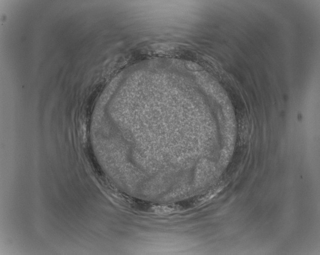 X0000066100703200604071822