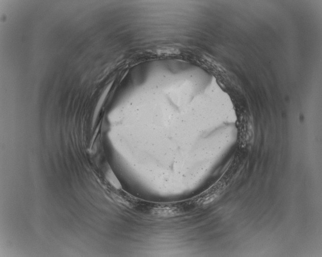 X0000066100704200604071822