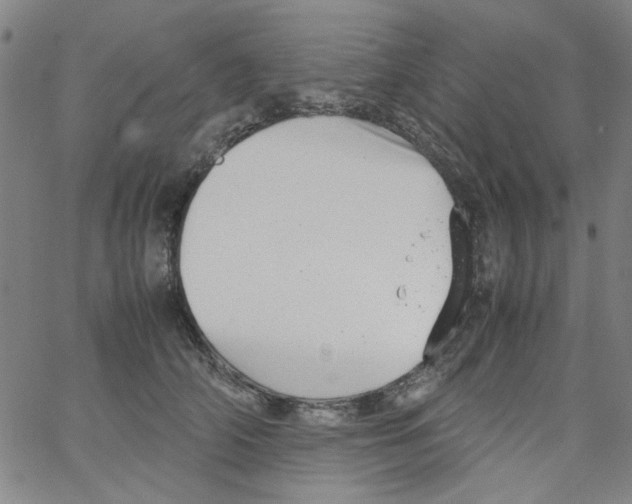 X0000066100706200604071822