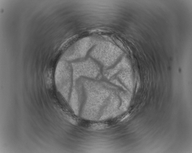 X0000066100708200604071822