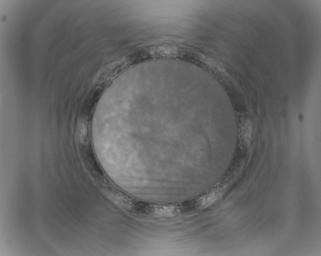 X0000066100709200604071822