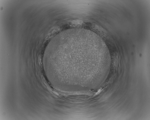 X0000066100711200604071822