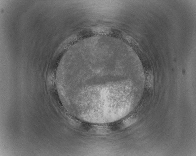 X0000066100713200604071822