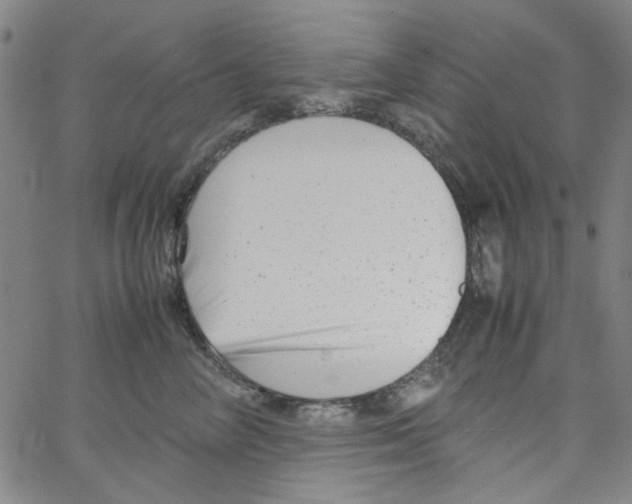 X0000066100714200604071822