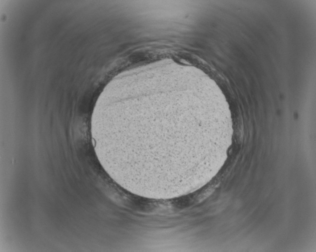 X0000066100715200604071822