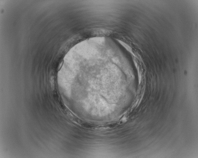 X0000066100716200604071822