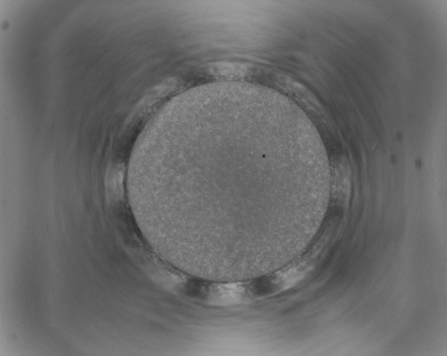 X0000066100717200604071822