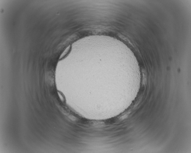 X0000066100719200604071822