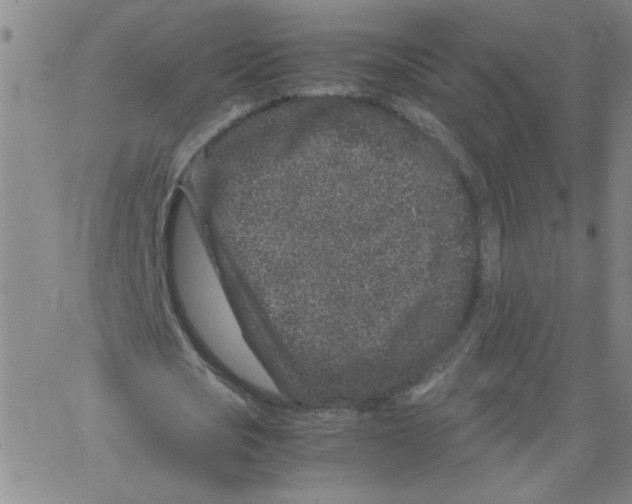 X0000066100721200604071821