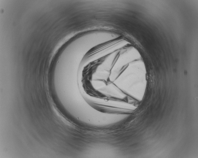 X0000066100726200604071821