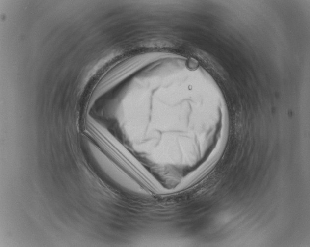 X0000066100727200604071821