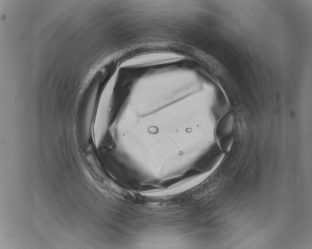 X0000066100728200604071821