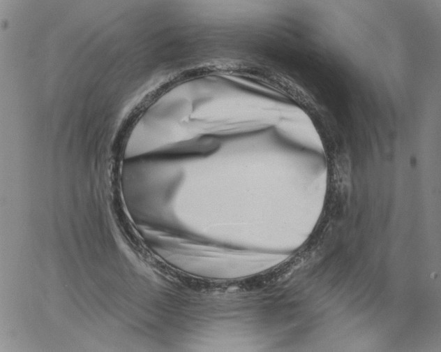 X0000066100730200604071821