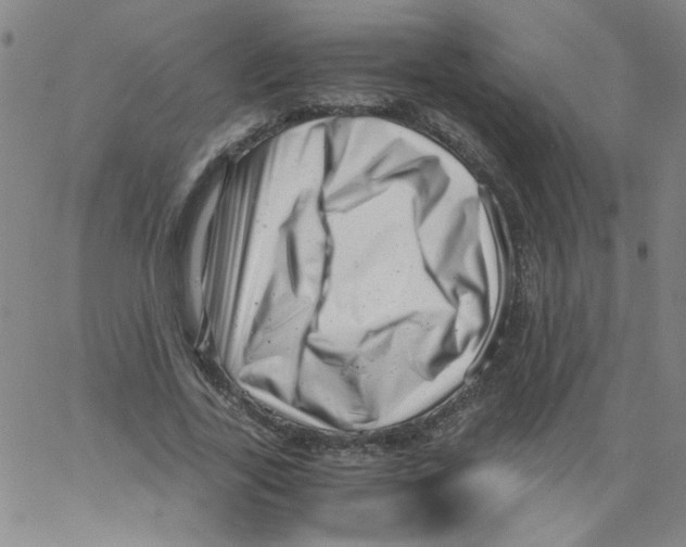 X0000066100731200604071821