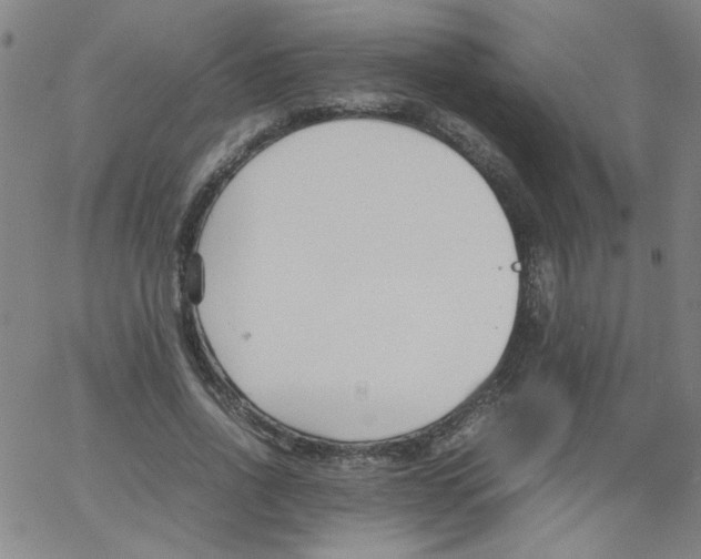 X0000066100734200604071822