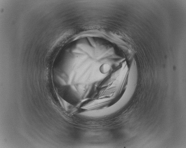 X0000066100735200604071822