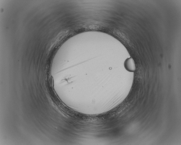 X0000066100738200604071822