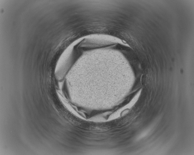 X0000066100739200604071822