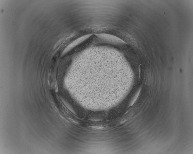 X0000066100740200604071822