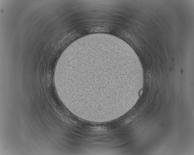 X0000066100741200604071822