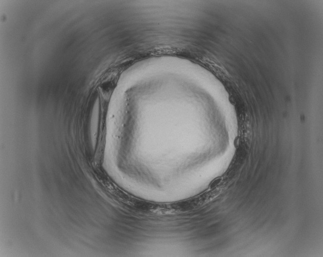 X0000066100742200604071822