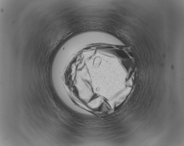 X0000066100743200604071822