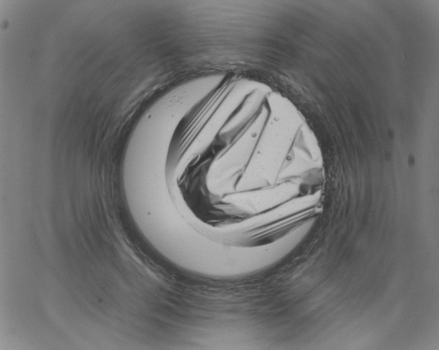 X0000066100744200604071822