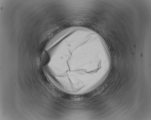 X0000066100746200604071822