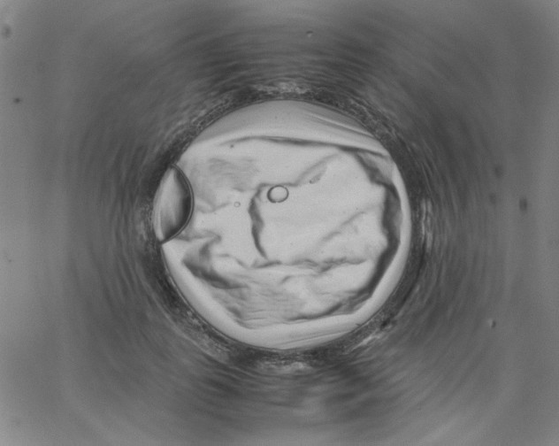 X0000066100747200604071822