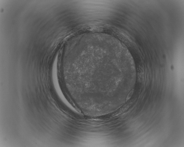 X0000066100748200604071822