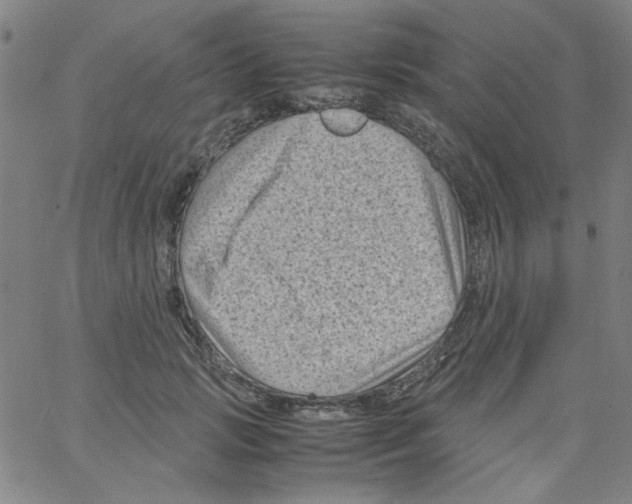 X0000066100749200604071822