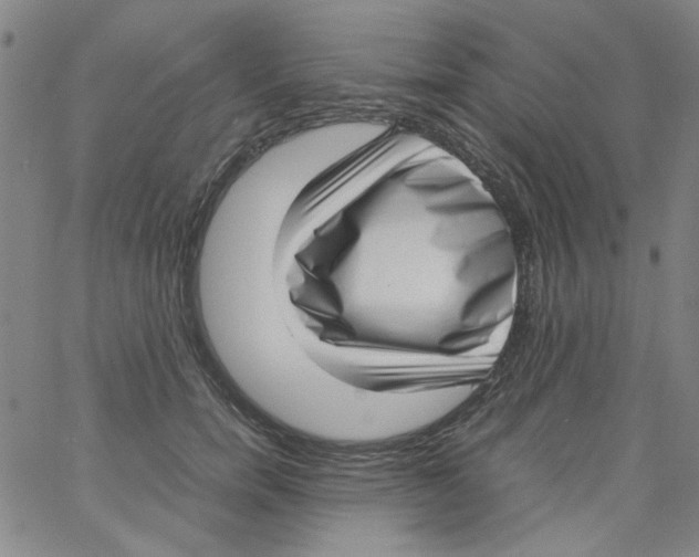 X0000066100750200604071822