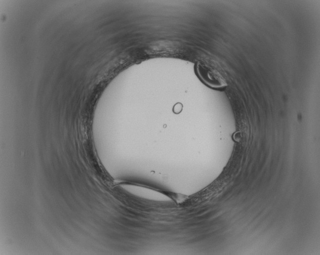 X0000066100751200604071822