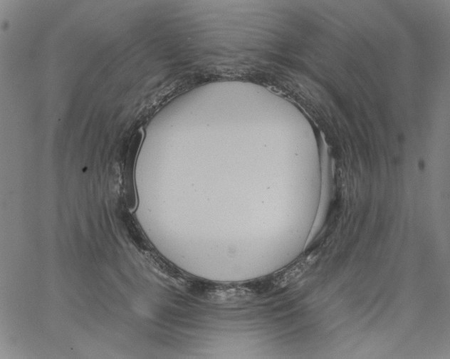 X0000066100752200604071822