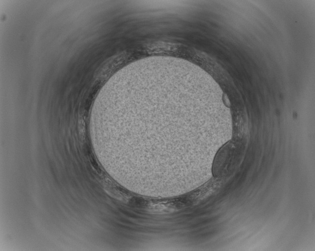 X0000066100753200604071822