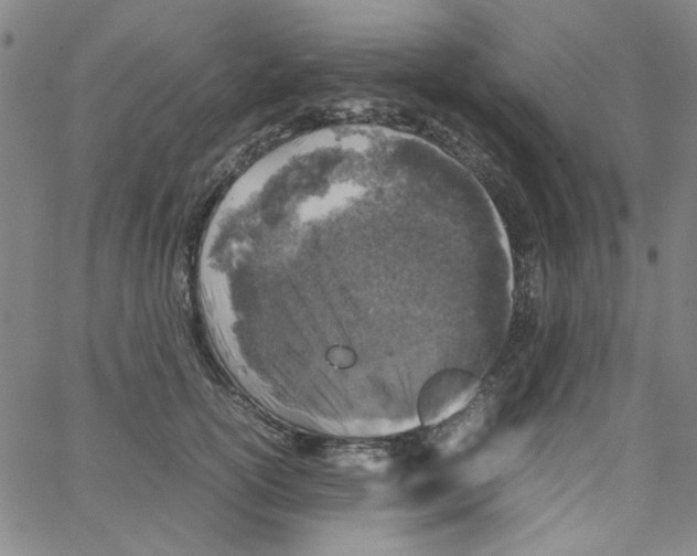 X0000066100754200604071822