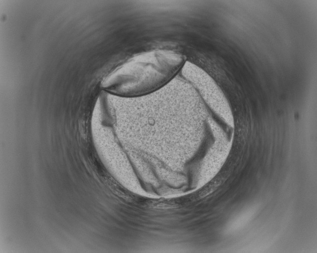 X0000066100755200604071822