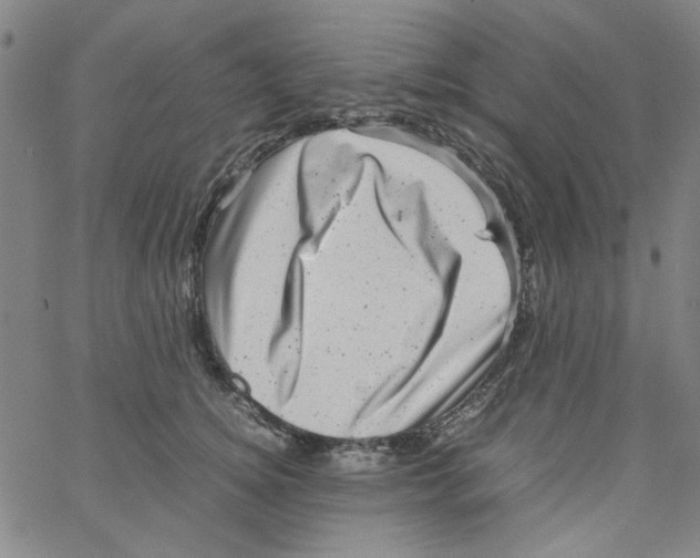 X0000066100756200604071822