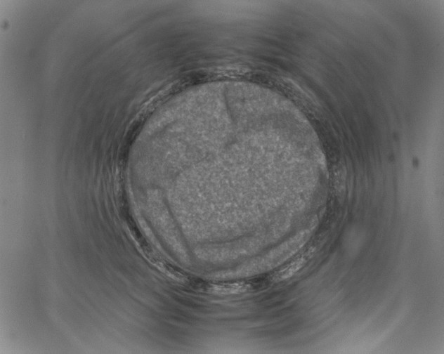 X0000066100757200604071822