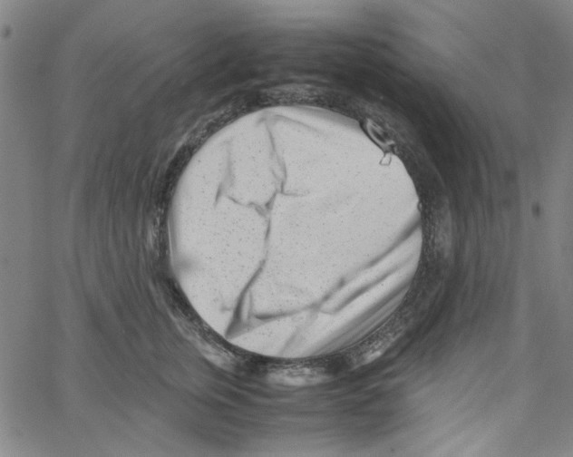 X0000066100759200604071822