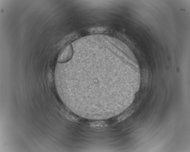 X0000066100761200604071822