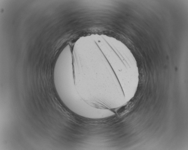 X0000066100762200604071822