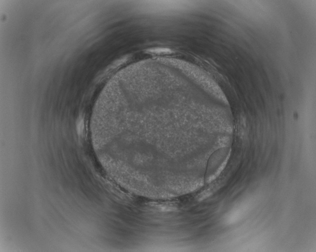 X0000066100763200604071822