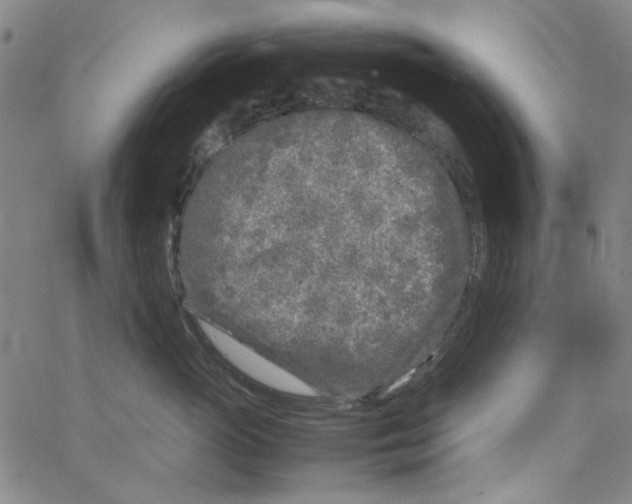 X0000066100765200604071822