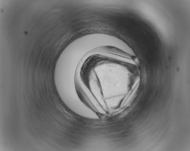 X0000066100766200604071822