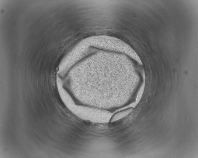 X0000066100768200604071822