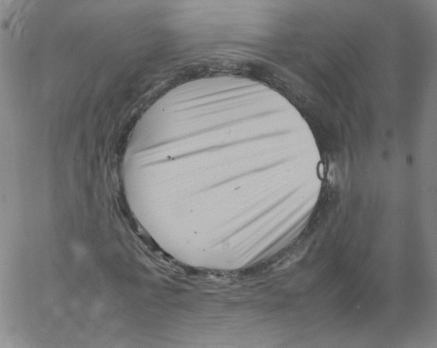 X0000066100771200604071821