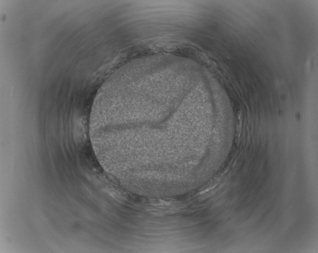 X0000066100772200604071821