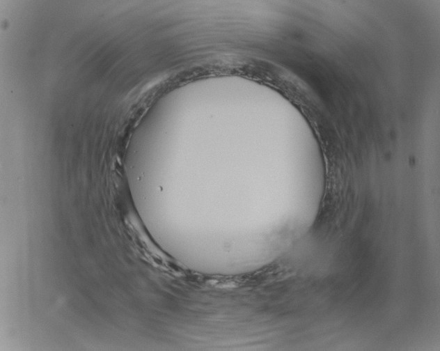 X0000066100773200604071821