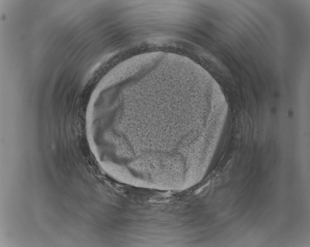 X0000066100776200604071821